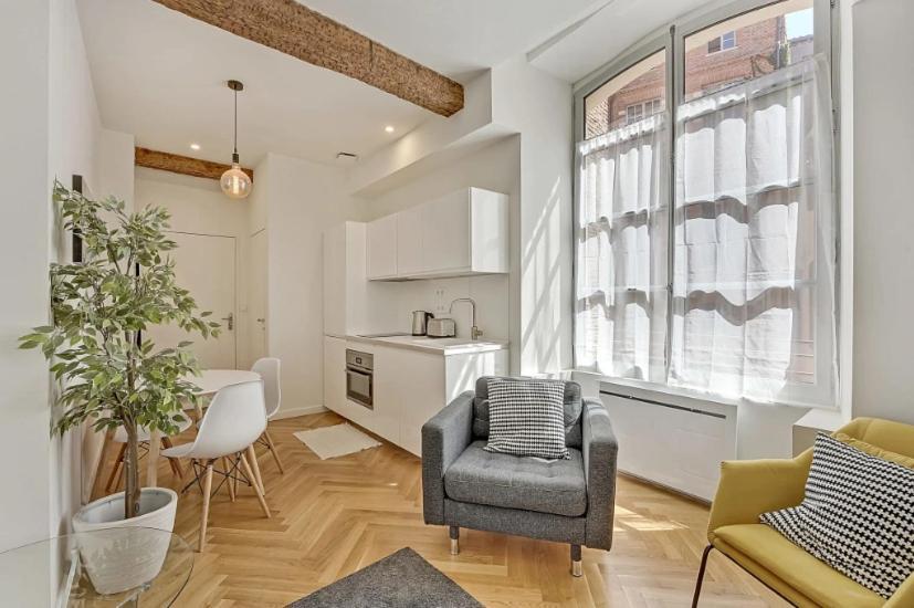 Les Relais Du Capitole - Appartements D'Hotes Τουλούζη Εξωτερικό φωτογραφία